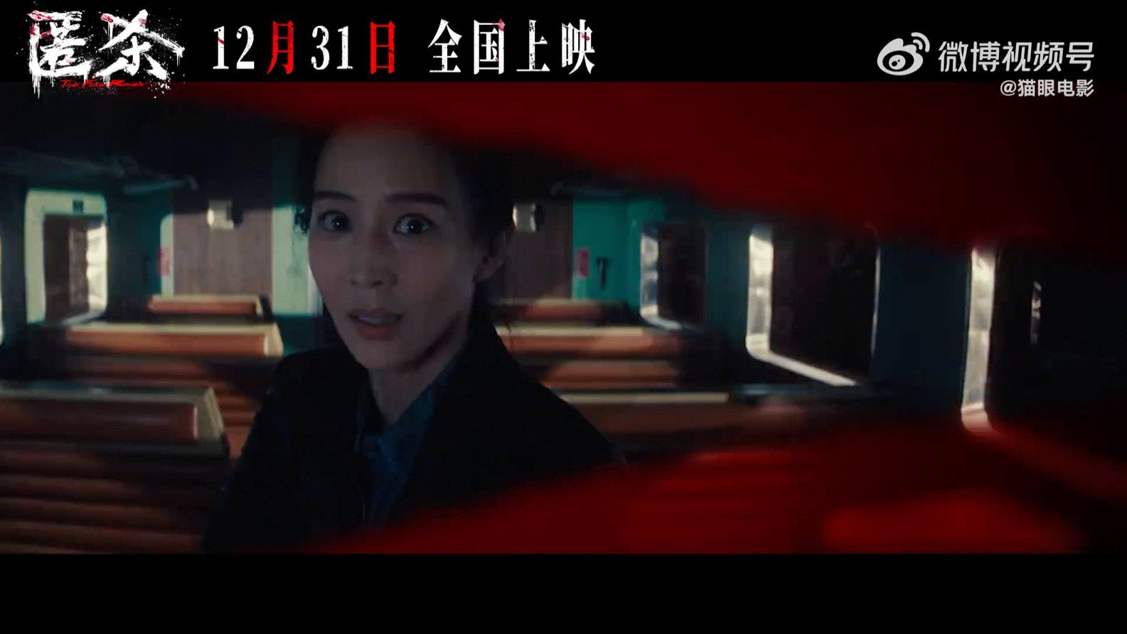 张钧甯这次又要杀疯了，镜头里性张力拉满，果然他的悬疑从不失手，真的太绝了！ 