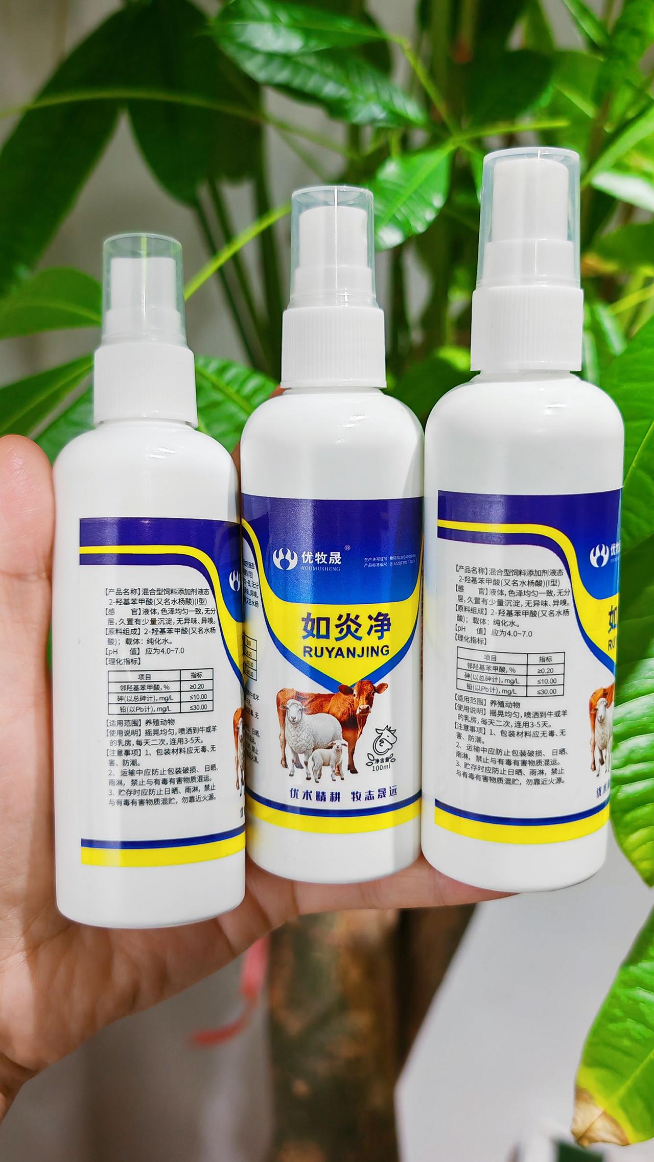 养羊人 农村养羊 牛羊养殖