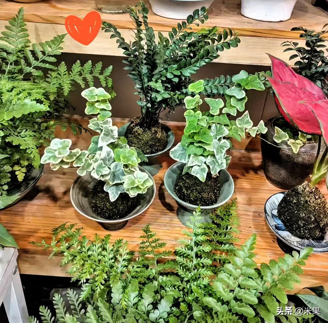 想一直开心其实很简单，少想烦心事，多做喜欢的事。

别跟自己较劲，知足常乐，每天