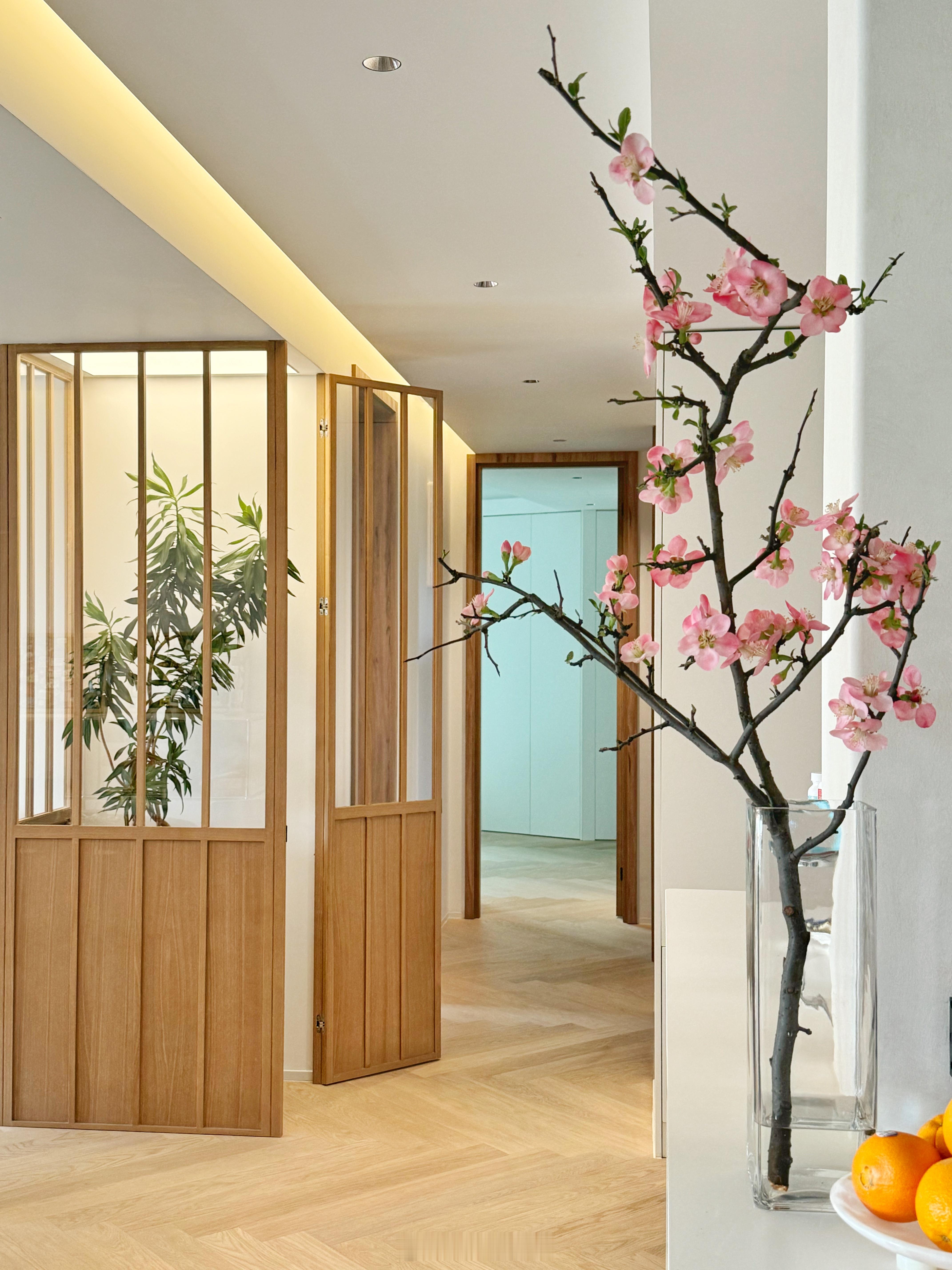春天☘️🌸✨就是粉粉又绿绿 ​​​