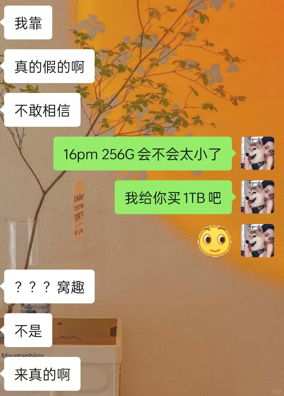 这个贱我必须犯