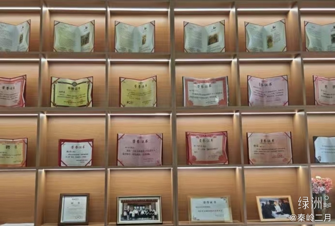 秦岭笑谈 社会实践 青春三下乡 曲阜师范大学 感悟中的三下乡 乡村振兴 走访古埠