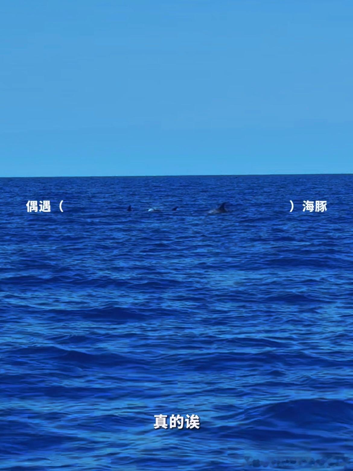 #吴磊冲浪身材#吴磊你这么好看是要被我装进麻袋带走的！ ​​​