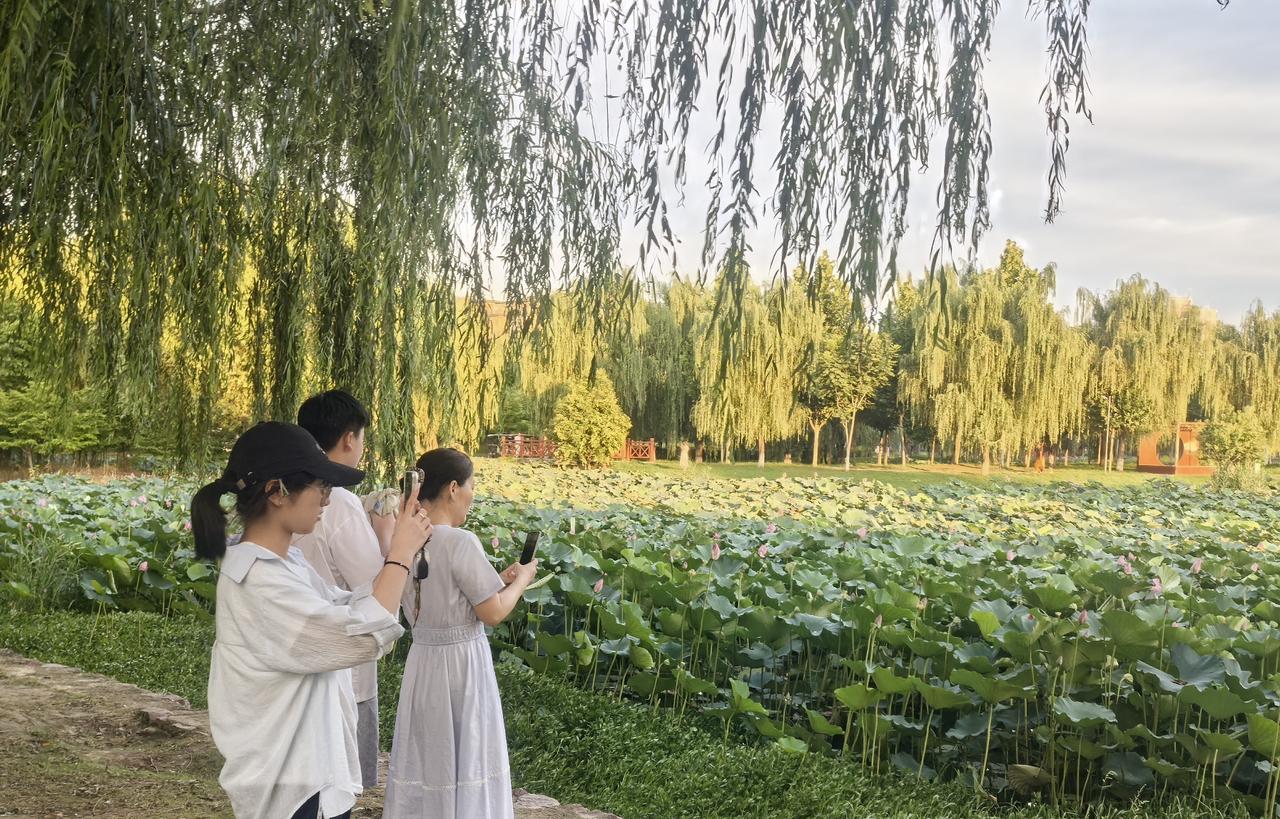 一夜之间，打开手机，满屏的消息：河南省三支一扶人事考试中心负责人停职调查，公安机