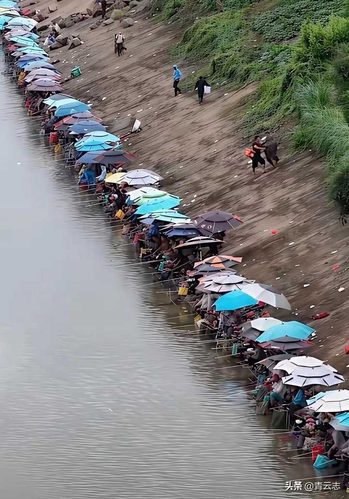 老铁们，我想在这里摆个摊！大家觉得卖点什么畅销？