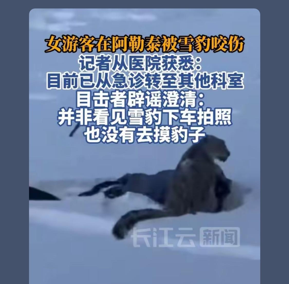 撒谎都不会找个好理由，人类压根就不在雪豹这种中小型猫科动物的捕猎目标上，更不会主