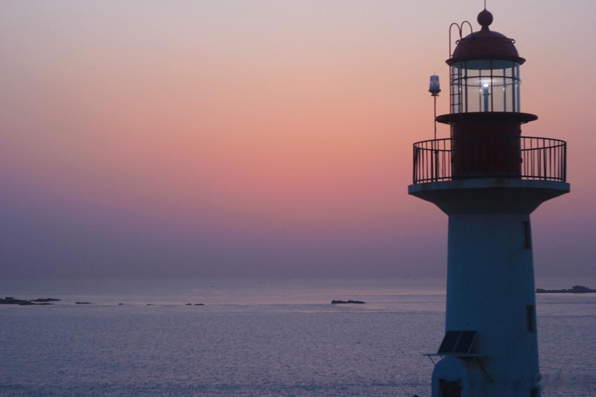 近几年，投资行业对赌触发的案例越来越多了是不是诉诸律师，直接把被投企业告上法庭呢