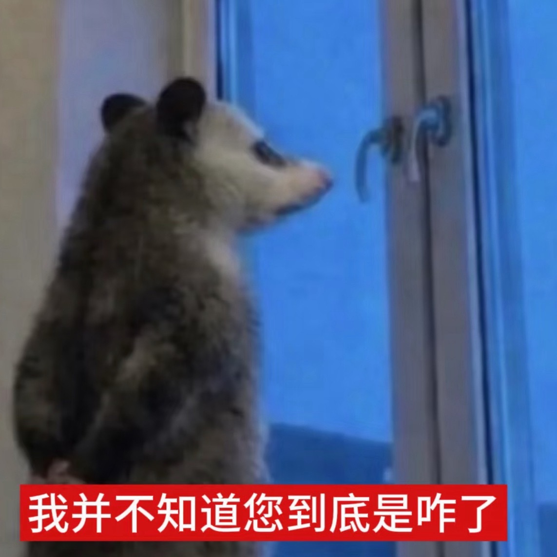 名创优品不是会员不能买单干嘛…本来就卖得越来越贵了，这把还真当自己是什么品牌会员