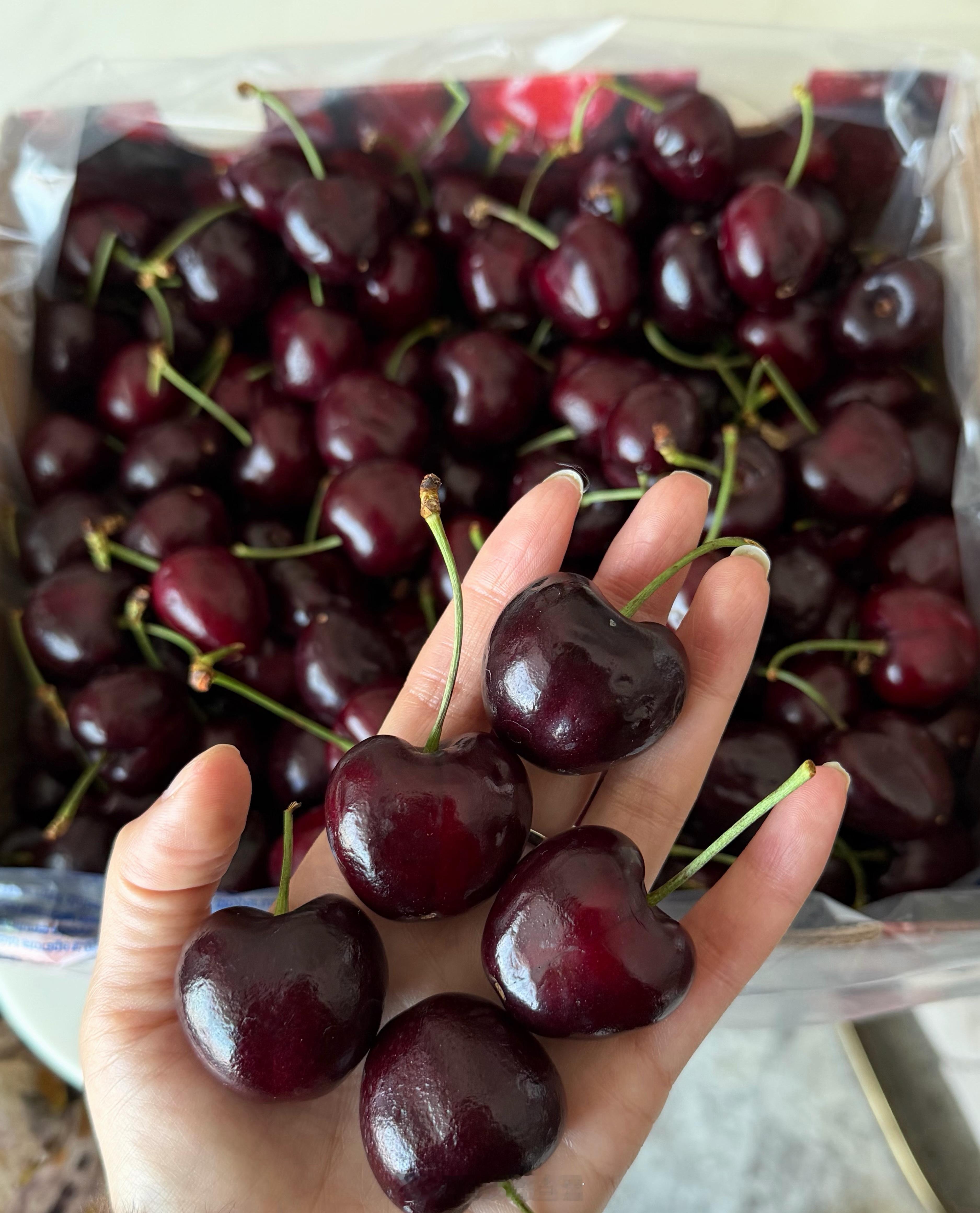 车厘子价格暴跌近40%年前15一斤有没有？ 