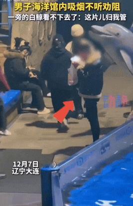 这大白鲸真不是白养的！一男子在海洋馆内吸烟，工作人员来劝阻，但是男子不听，仍然自