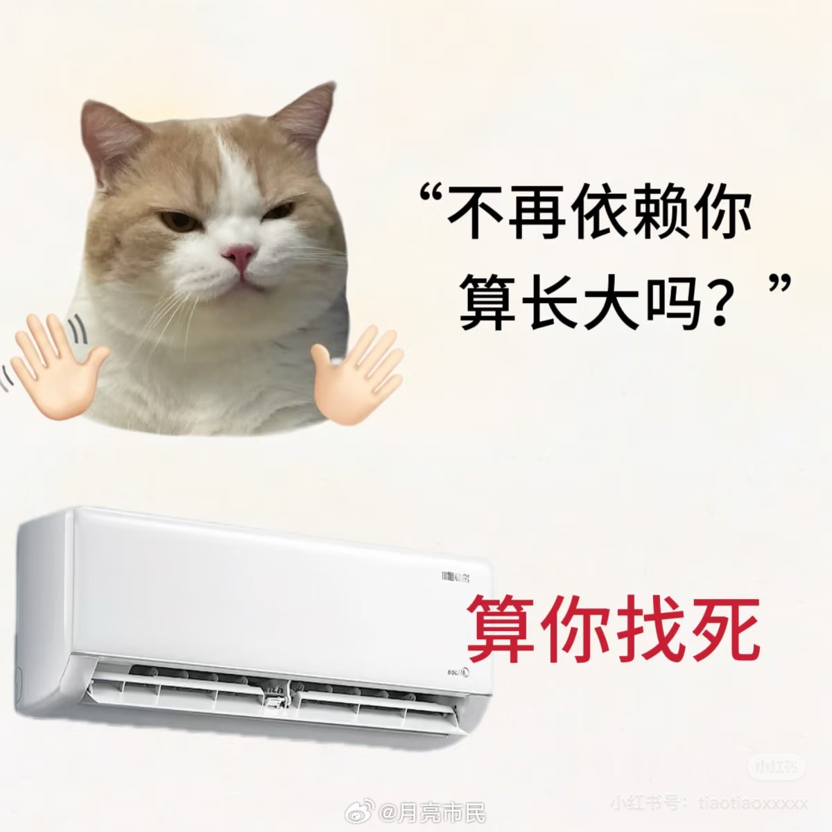 都立秋了 怎么还这么热 