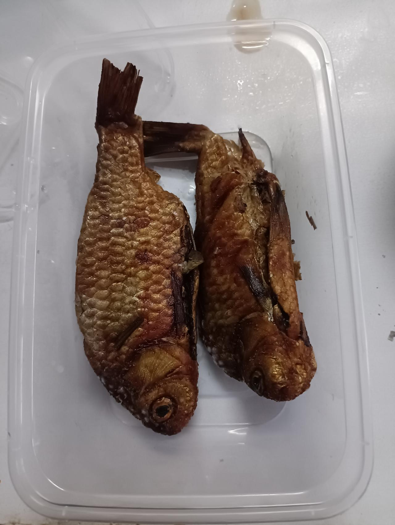 商家，好聪明啊。
今天我买了两小只糟鱼，一个人在家，买多了我吃不完，夏天也不好放