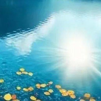 📍长长的苏堤，是西子湖畔一道靓丽的风景线 