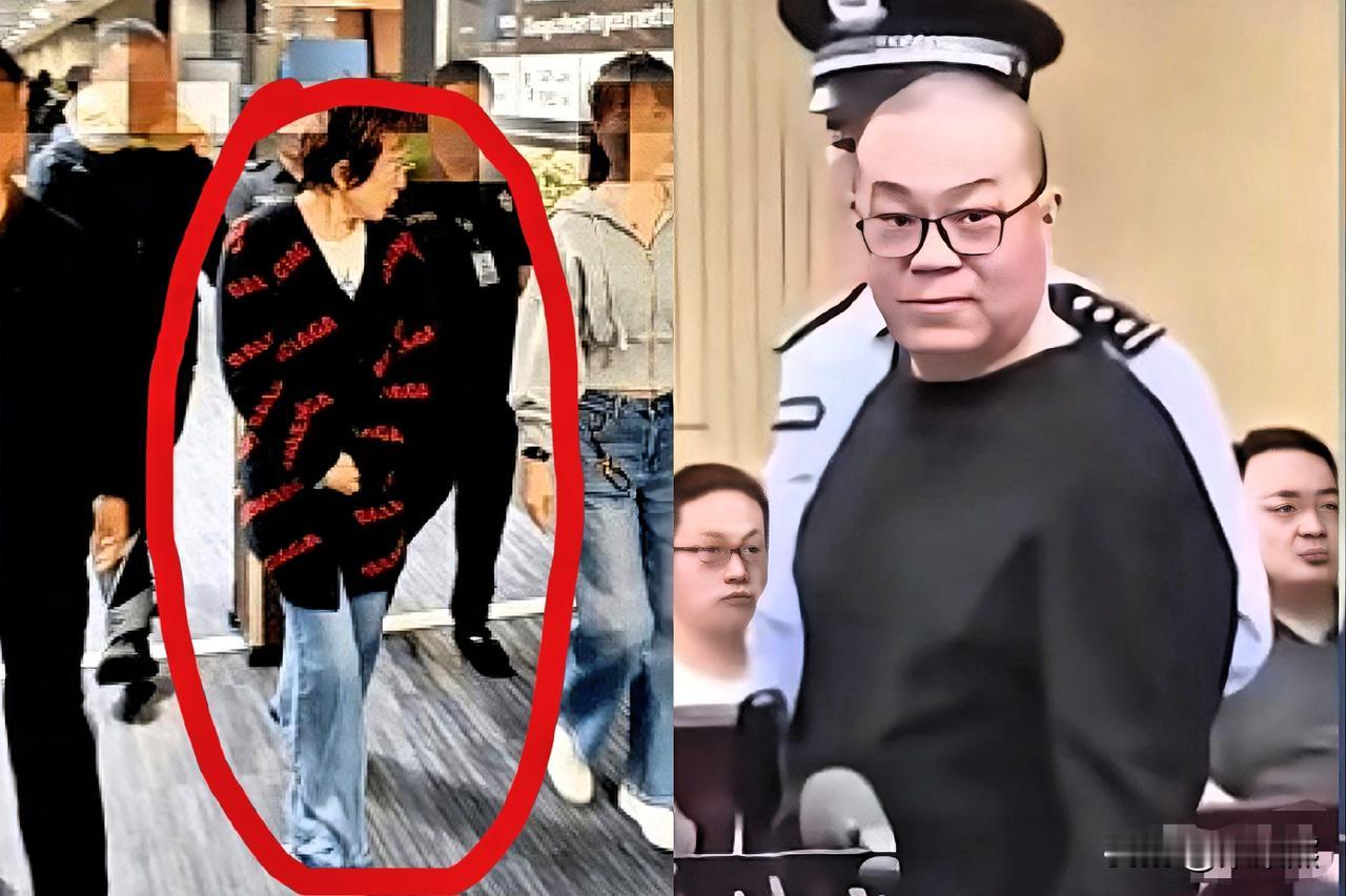 看的我血压都升高了！
白天辉贪11个亿刚领了死刑，这涉案近9.8亿的郝某就被押回