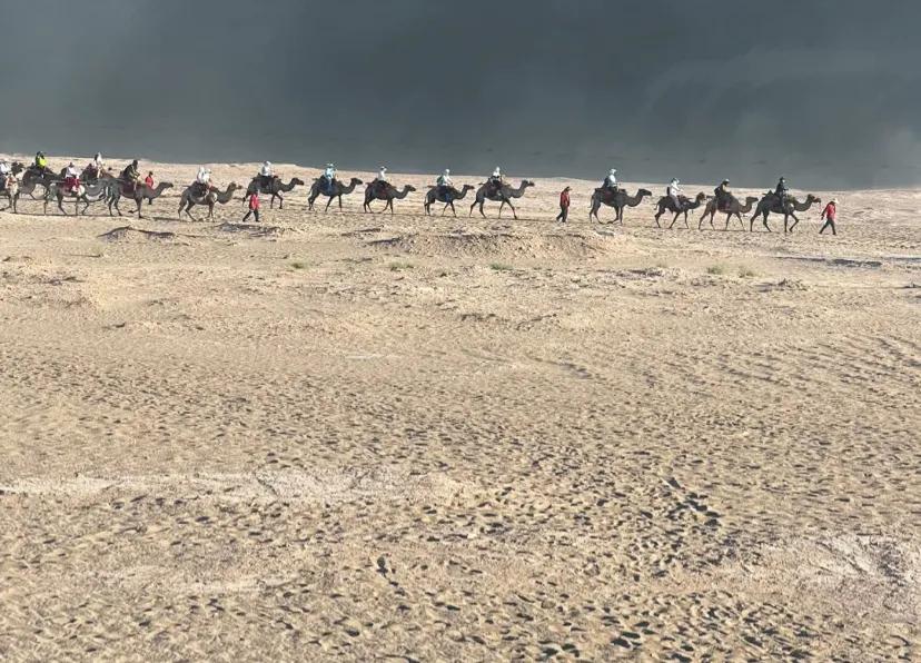 鸣沙山的骆驼实惨是谁造成的?
说骆驼辛苦，骆驼惨的，其实都是我们这些去旅游的人造