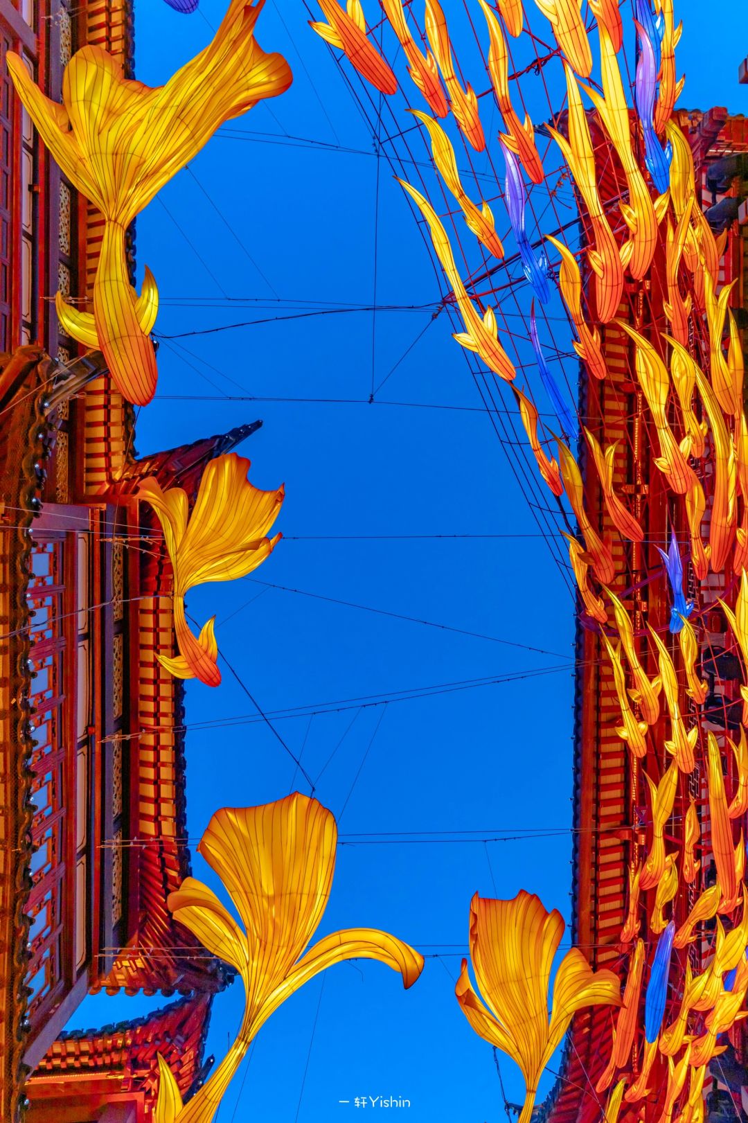 电线太多了，我要把它剪掉！