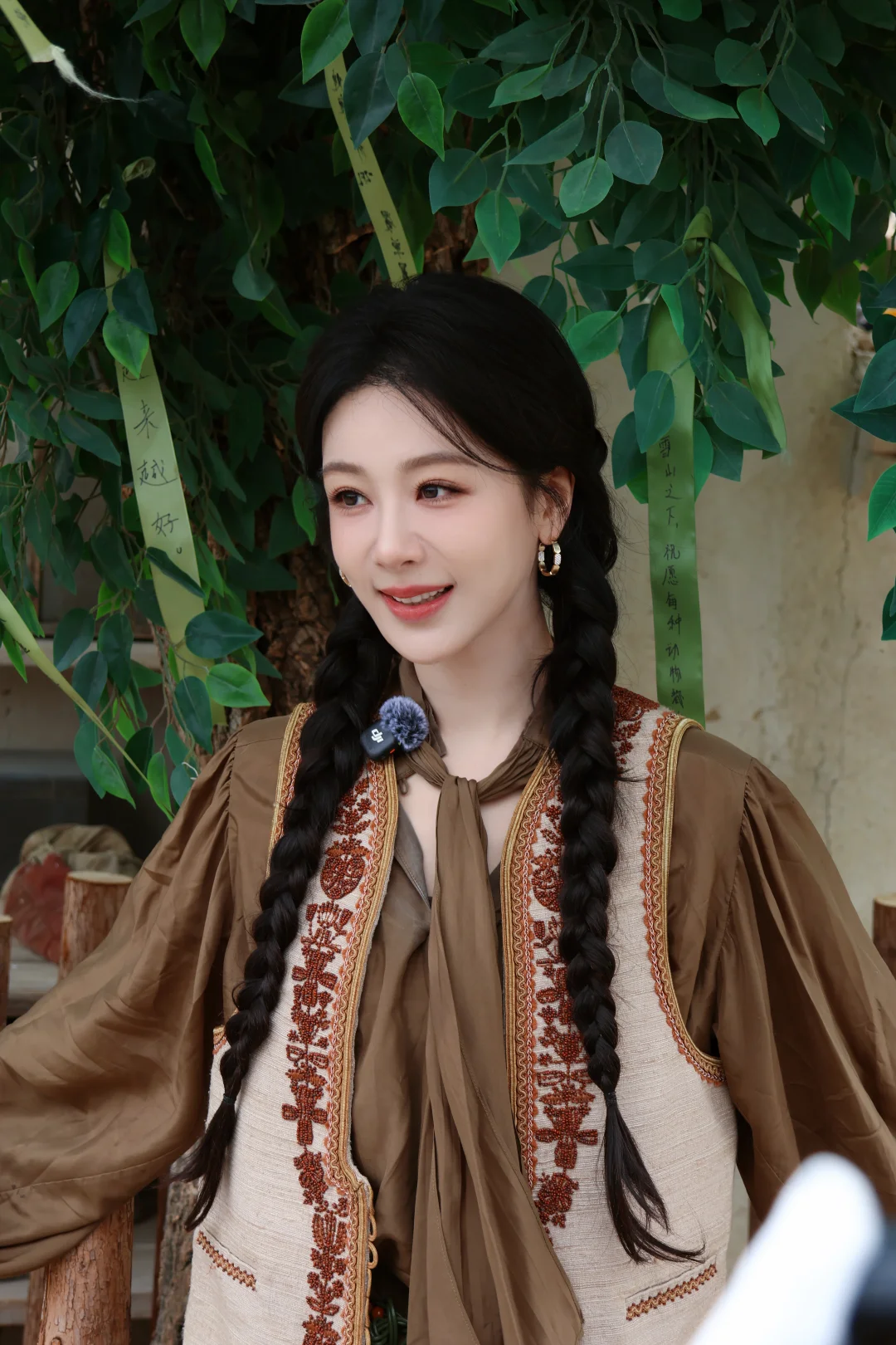 杨紫白菊回家了