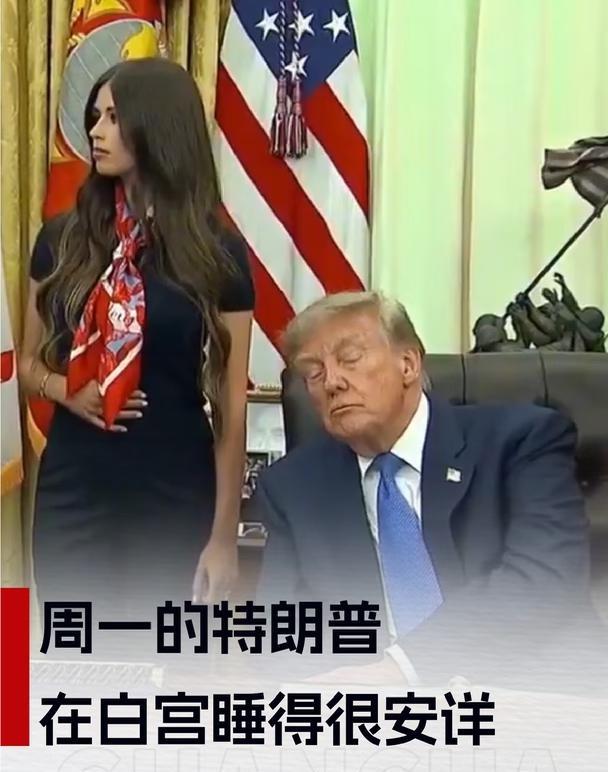 周一的特朗普在白宫睡得很安详
8月10日，美国总统特朗普在白宫椭圆形办公室，出席