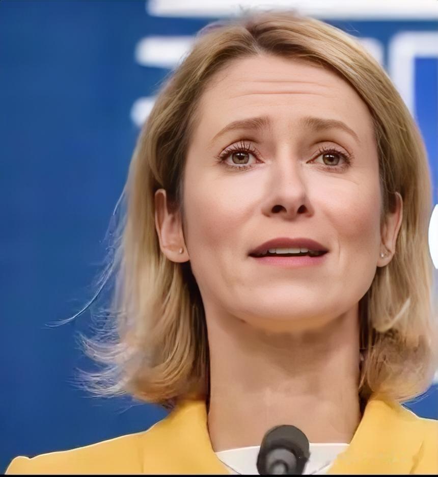 美俄乌忙着谈和平，欧盟直接被晾在边上，存在感直线下滑。欧盟外交负责人卡拉斯一看这