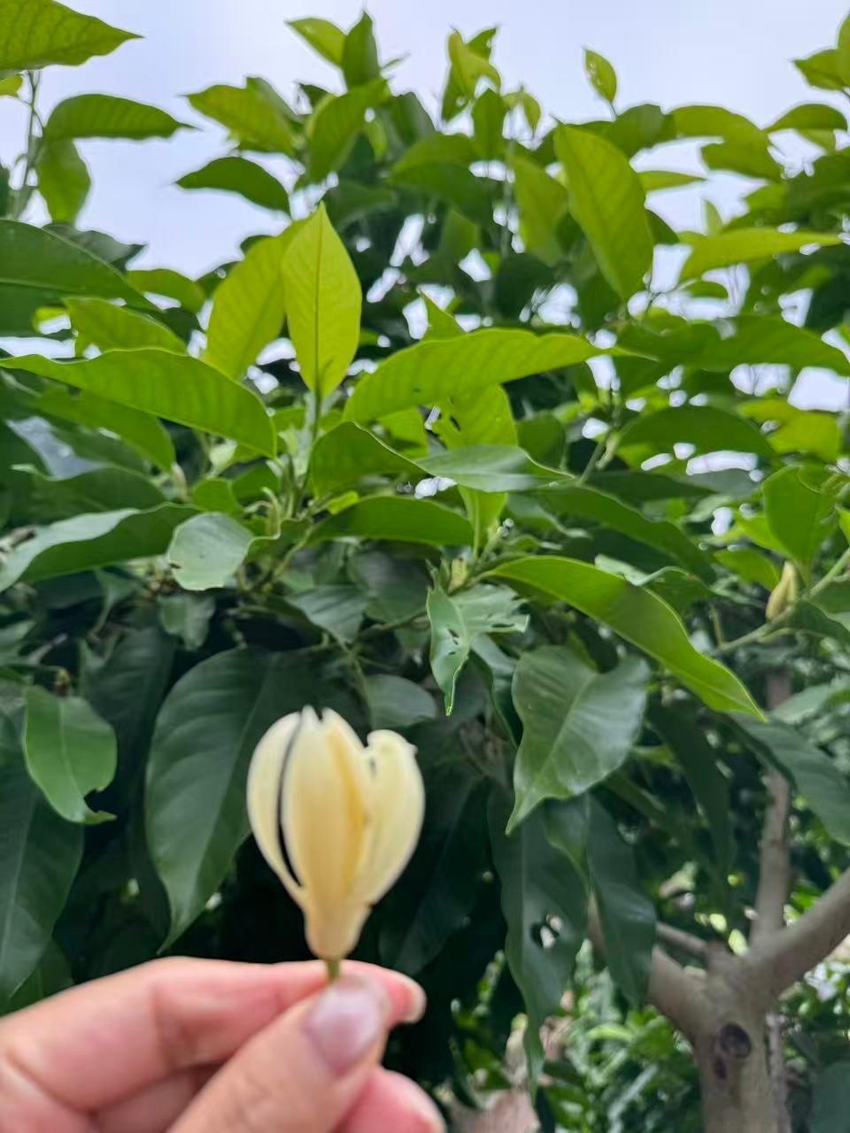 早安早安 生活总有不期而遇的温暖，也有生生不息的希望。今天是个美丽的日子，周末的