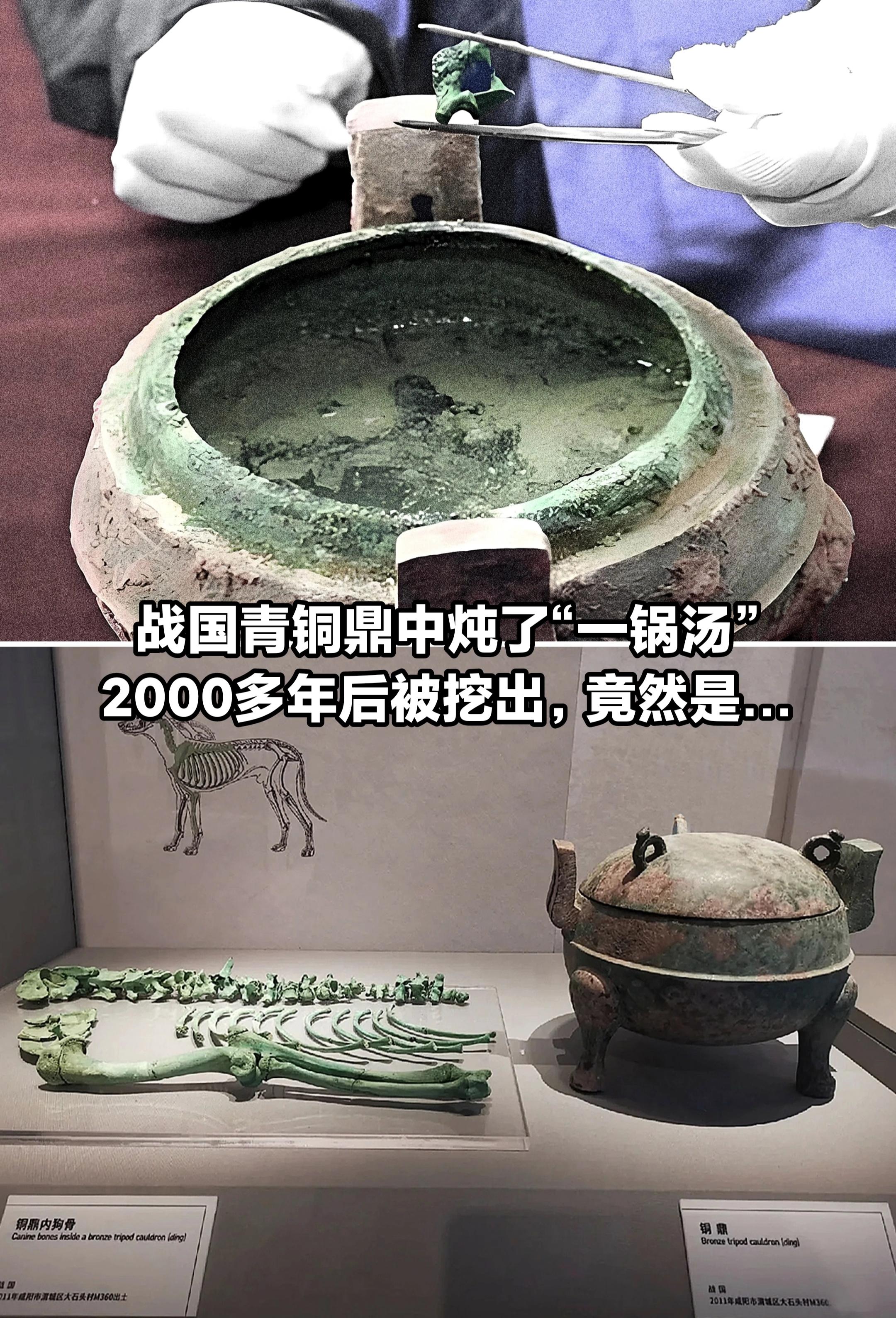 战国青铜鼎中炖了“一锅汤”，竟然是……