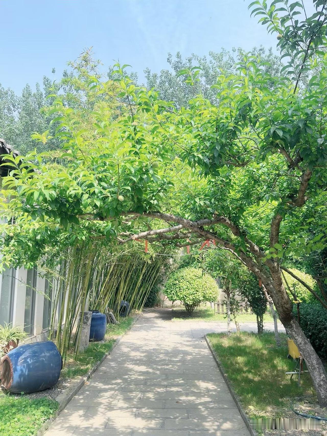 捡钱还有这样的说法儿？昨天，我和别人说起一大早，郑州市西流湖公园里三位师傅在公园