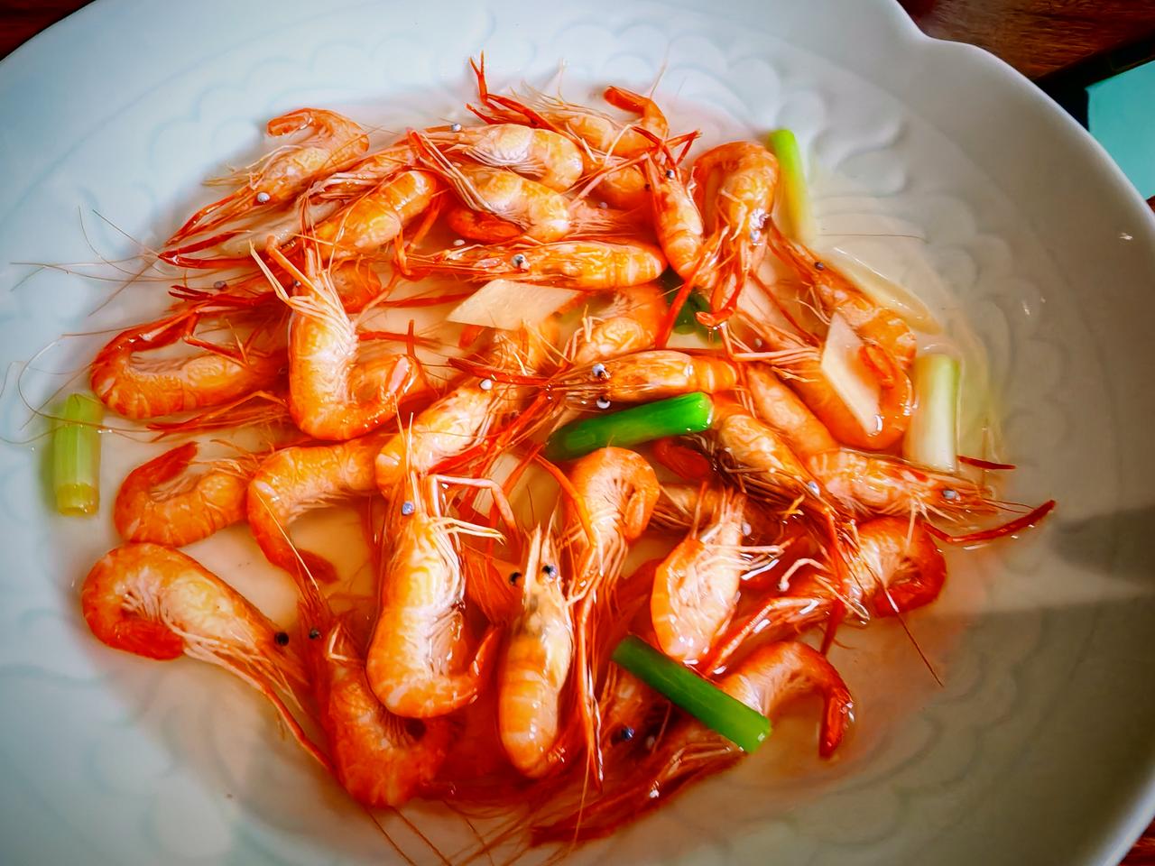 春日生活打卡季