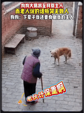 心直接被狠狠揪了一下！
八十多岁的老奶奶拄着拐杖了十‮养着对
，里子院在站
，多