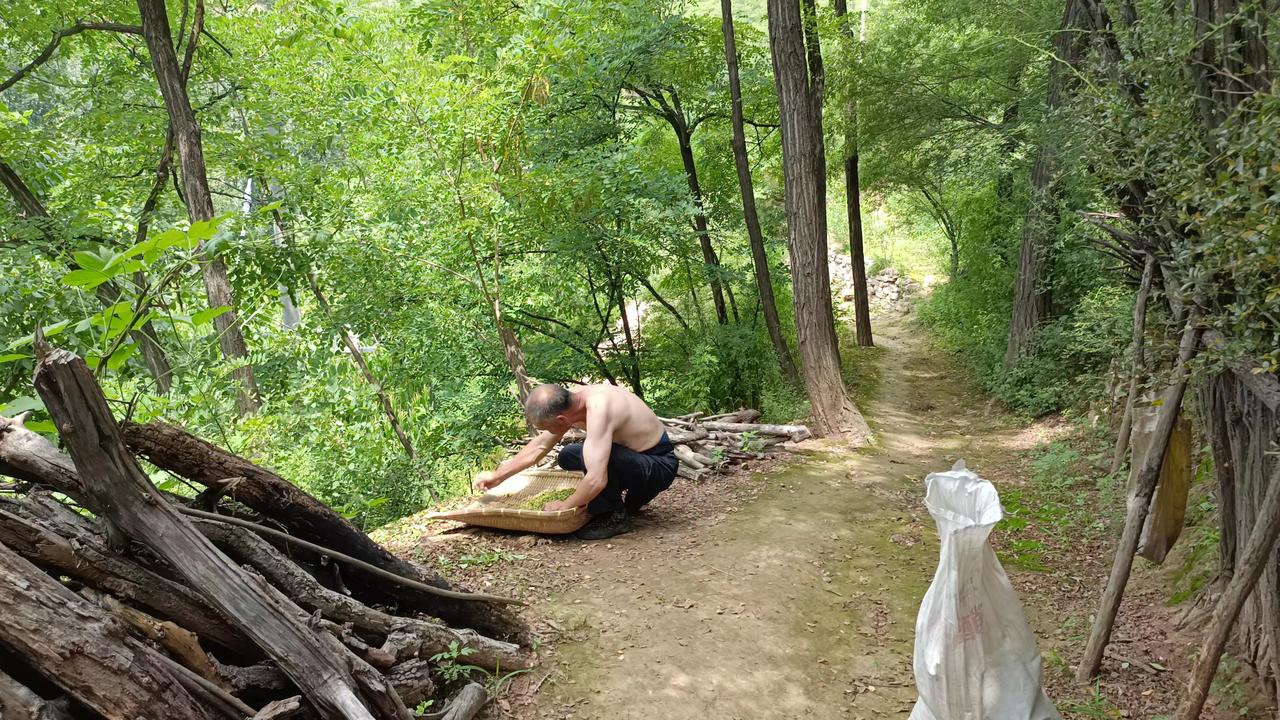 大叔姓李，今年60岁，隐居在山西长治境内的一座小山丘上。3年前，我偶然路过此地，