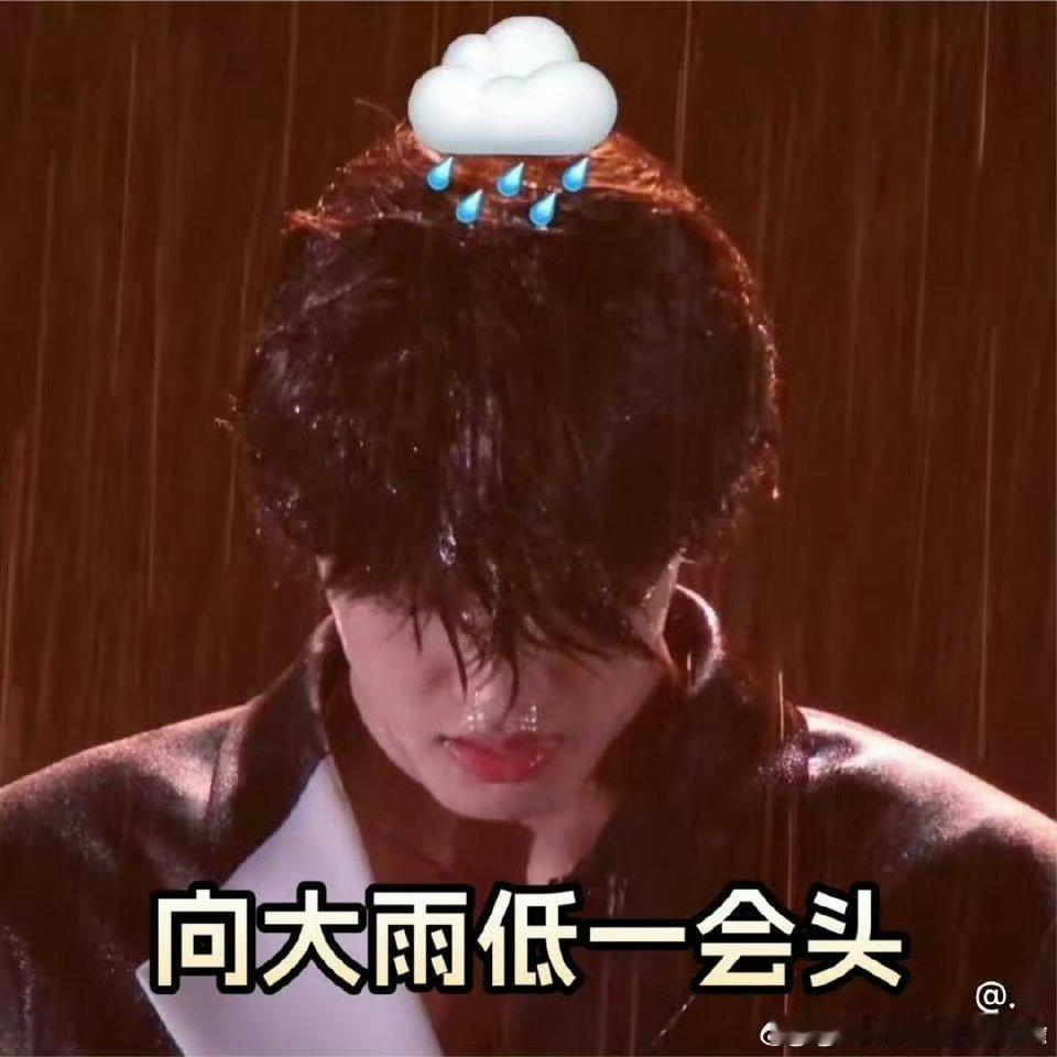 谁教张极这么用帅脸的张极在披荆斩棘是把帅脸当玩具有吧！淋雨变表情包，正经跳舞又切