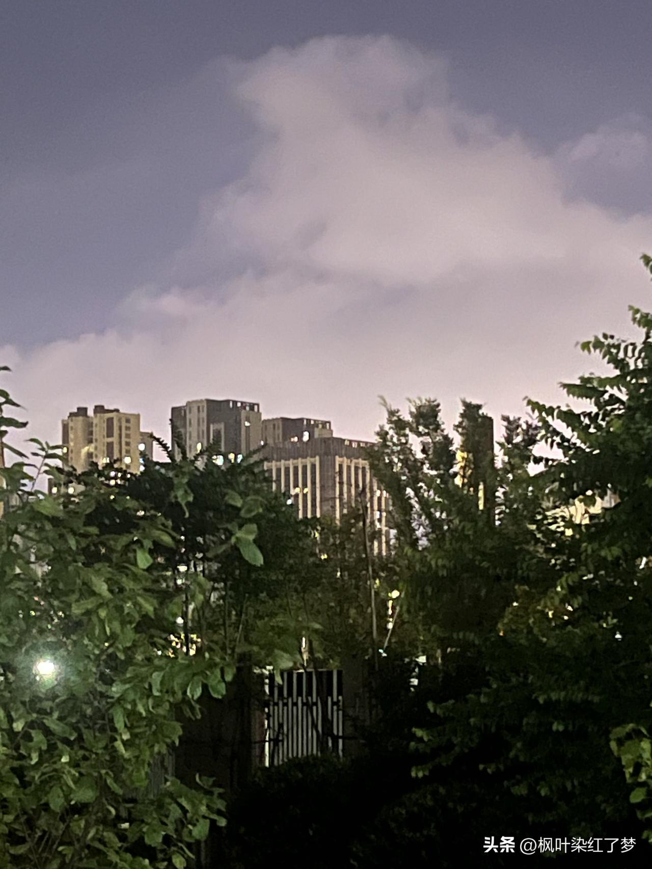 莫言曾告诫世人：“永远不要对欺负你的人心软。哪怕后来他们低头、认错、装可怜，也别