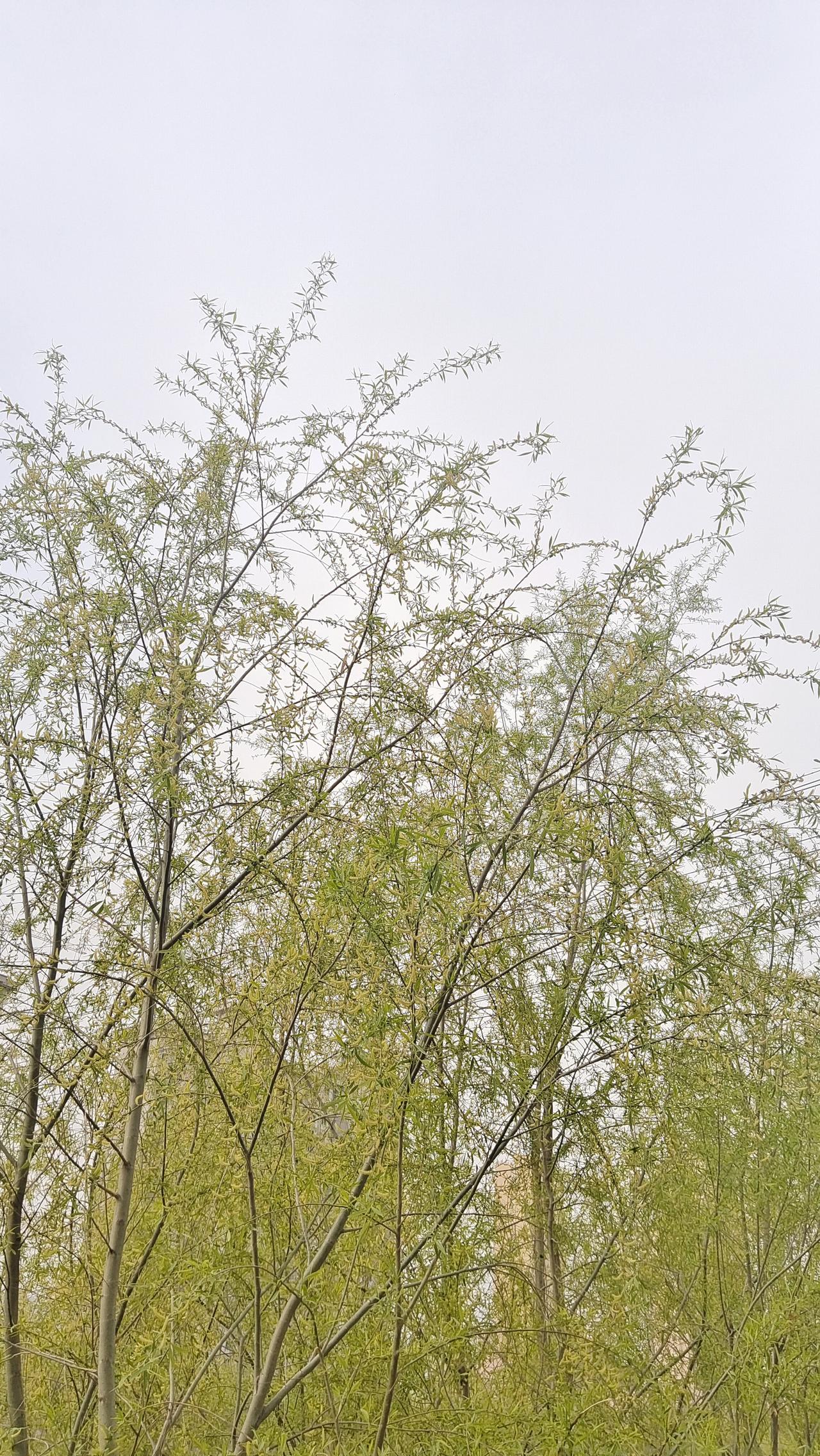 分享一张自然风景的照片