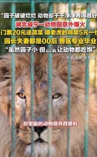 太暖心了！湖北咸宁一家老牌老旧动物园濒临倒闭，竟被一对 00 后兽医夫妻接手坚守