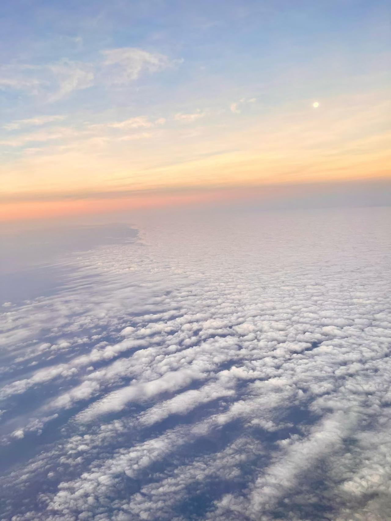 沉淀时积蓄力量，绽放时惊艳时光。
是时光赋予成长的答案，人生从不会有凭空的光芒，