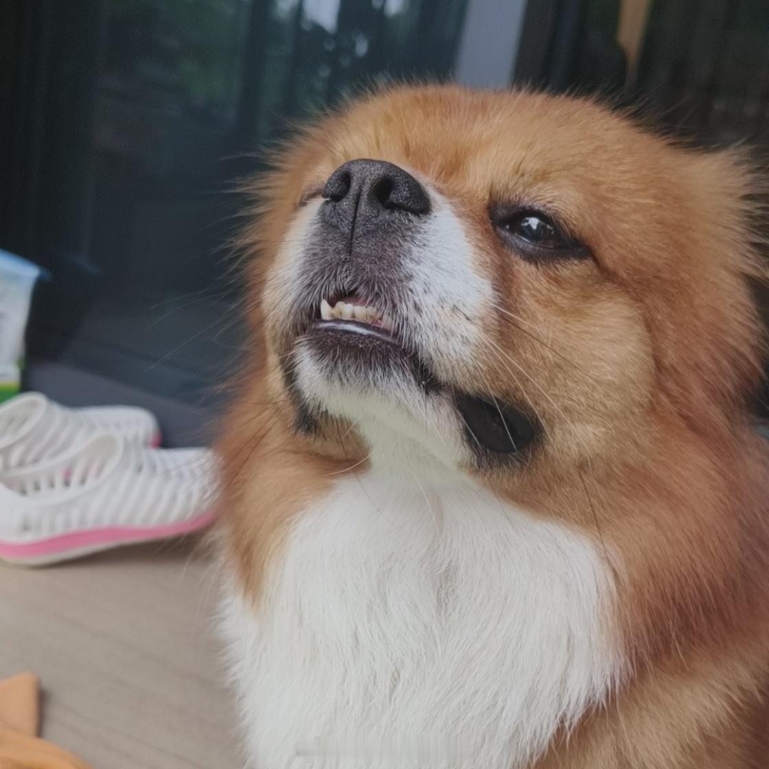 体寒的人夏天能有多离谱体寒的我不懂，体热的谁懂？？我本身体温比平常人高一点，也非