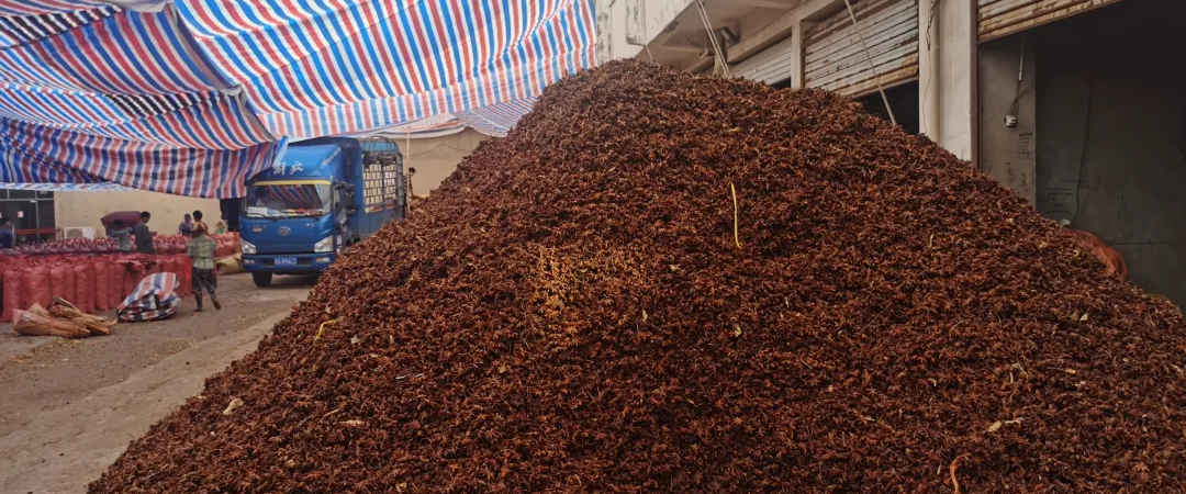 陆巡|张韶涵等艺人参加“十一”晚会被台当局威胁，国台办回应