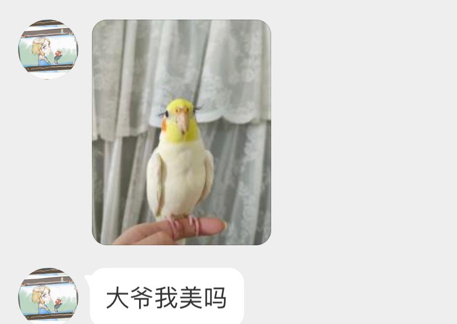 ？？？ ​​​