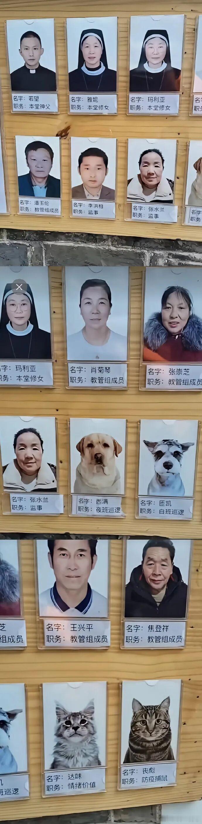 尚界Z7 趴窝 这个话题无非是两个弦外音：1，这车质量不行，至少软件或者硬件不稳