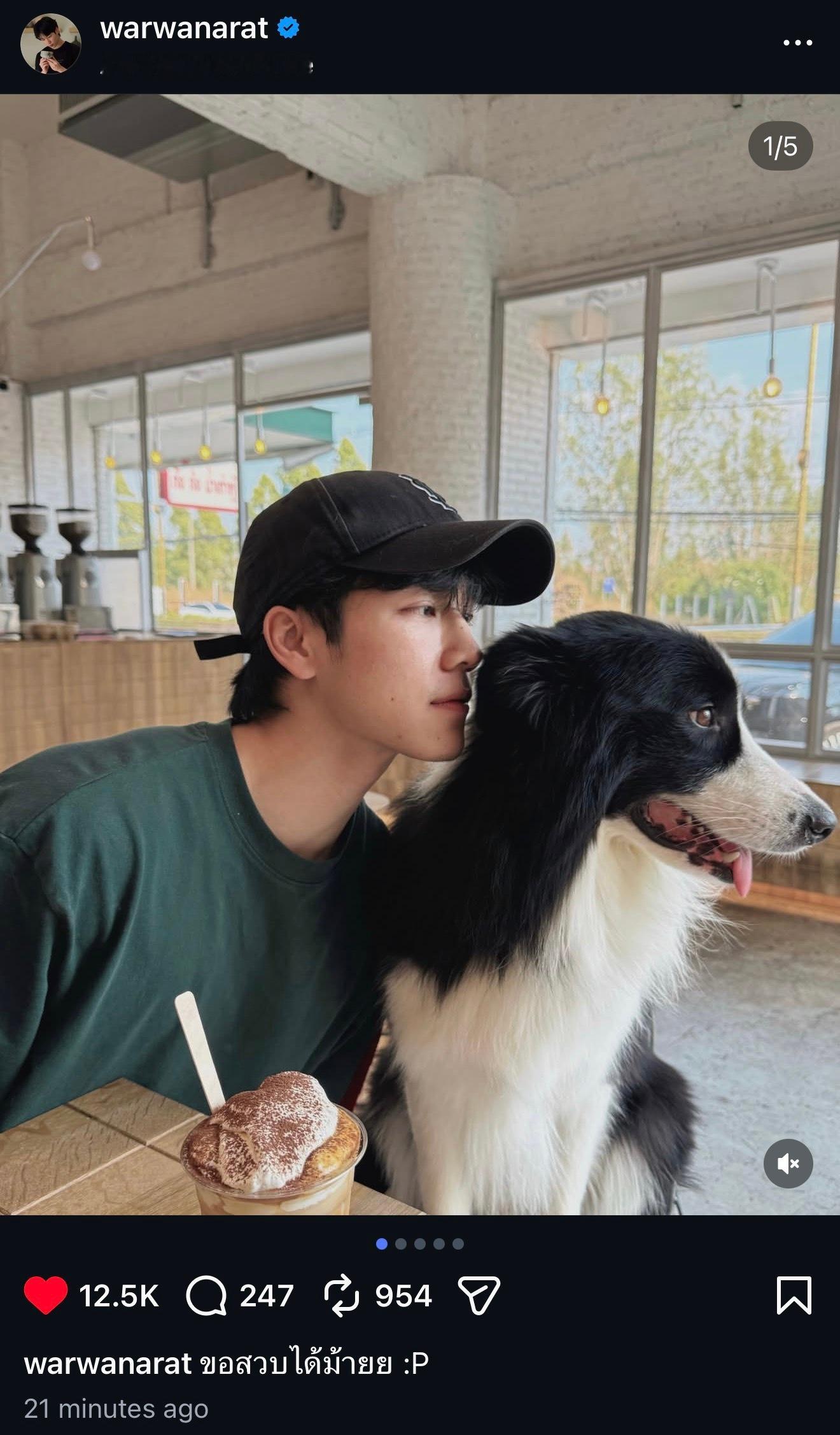 YinWarIgUpdate 20260615特别特别萌我最爱看的萌宠博主 