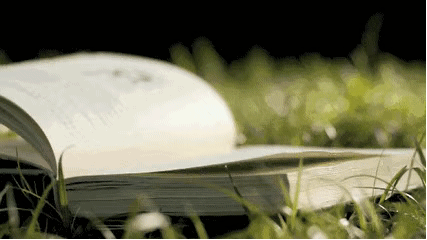 世态人情，可作书读，可当戏看。                         