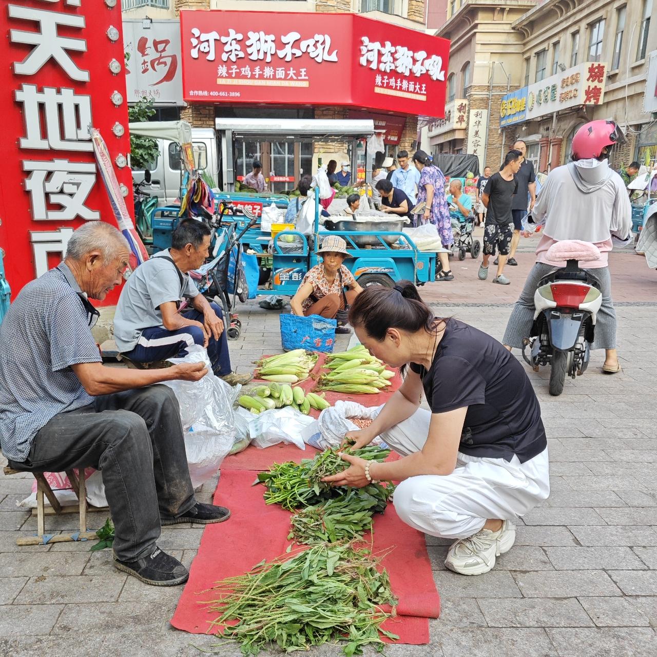 俺觉得“曲曲芽”是春天的野菜，只有春季才有售卖，没有找到眼下还有卖的。
问了一下