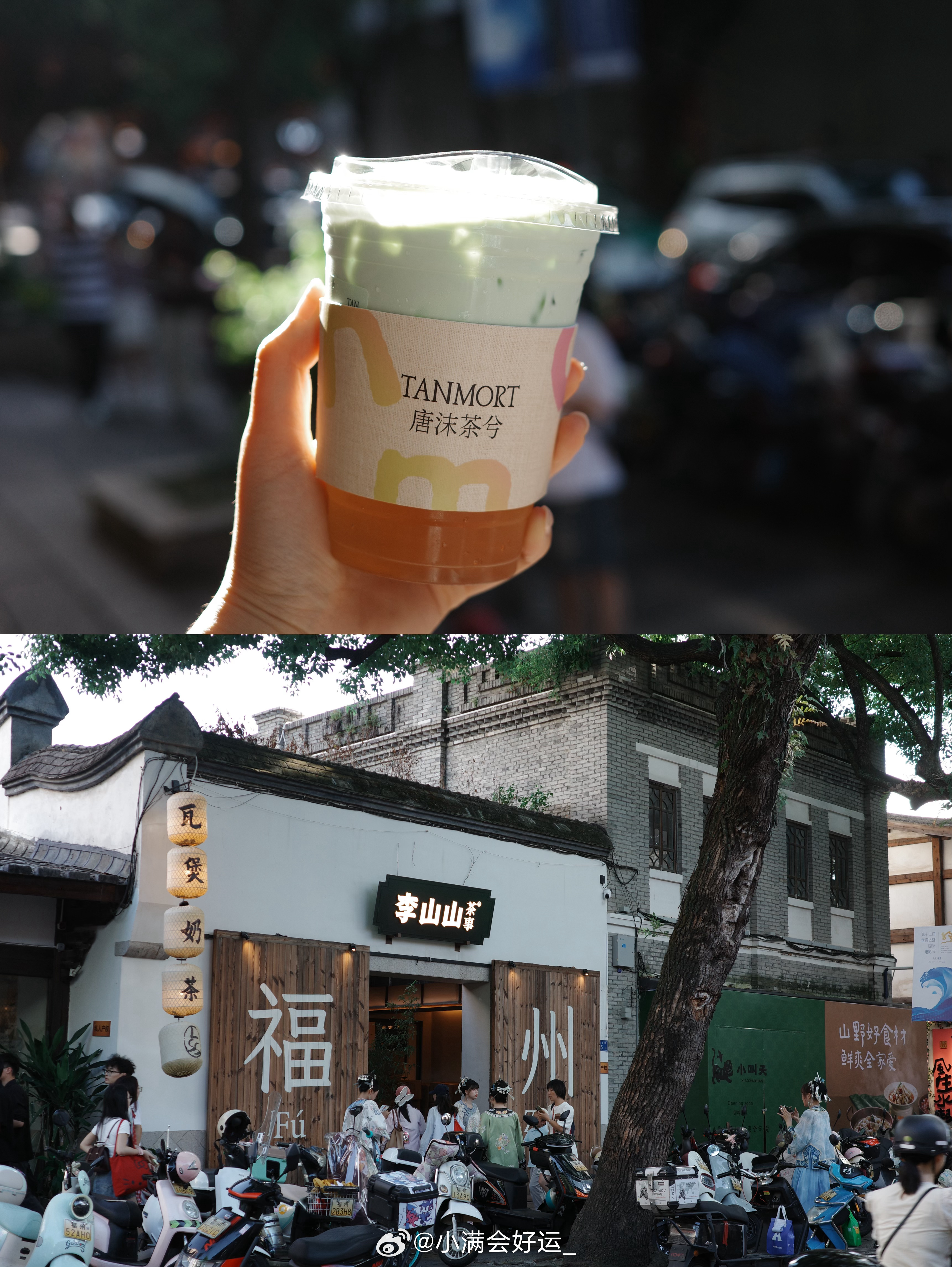 虎纠🌳  ​​​