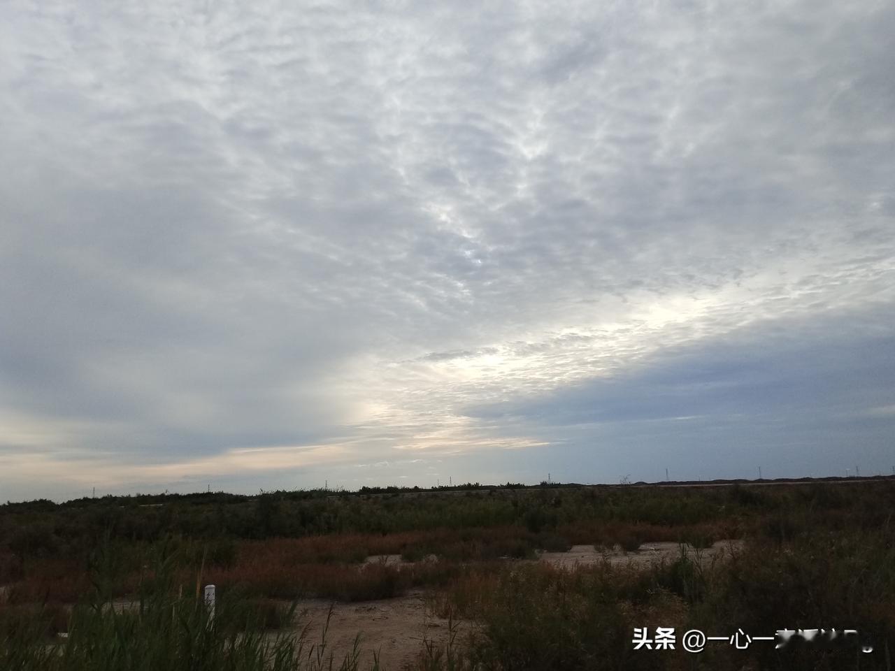 众友友早上好！
今天是9月9日星期三，日出时间5.46分，日落时间6.29分，白