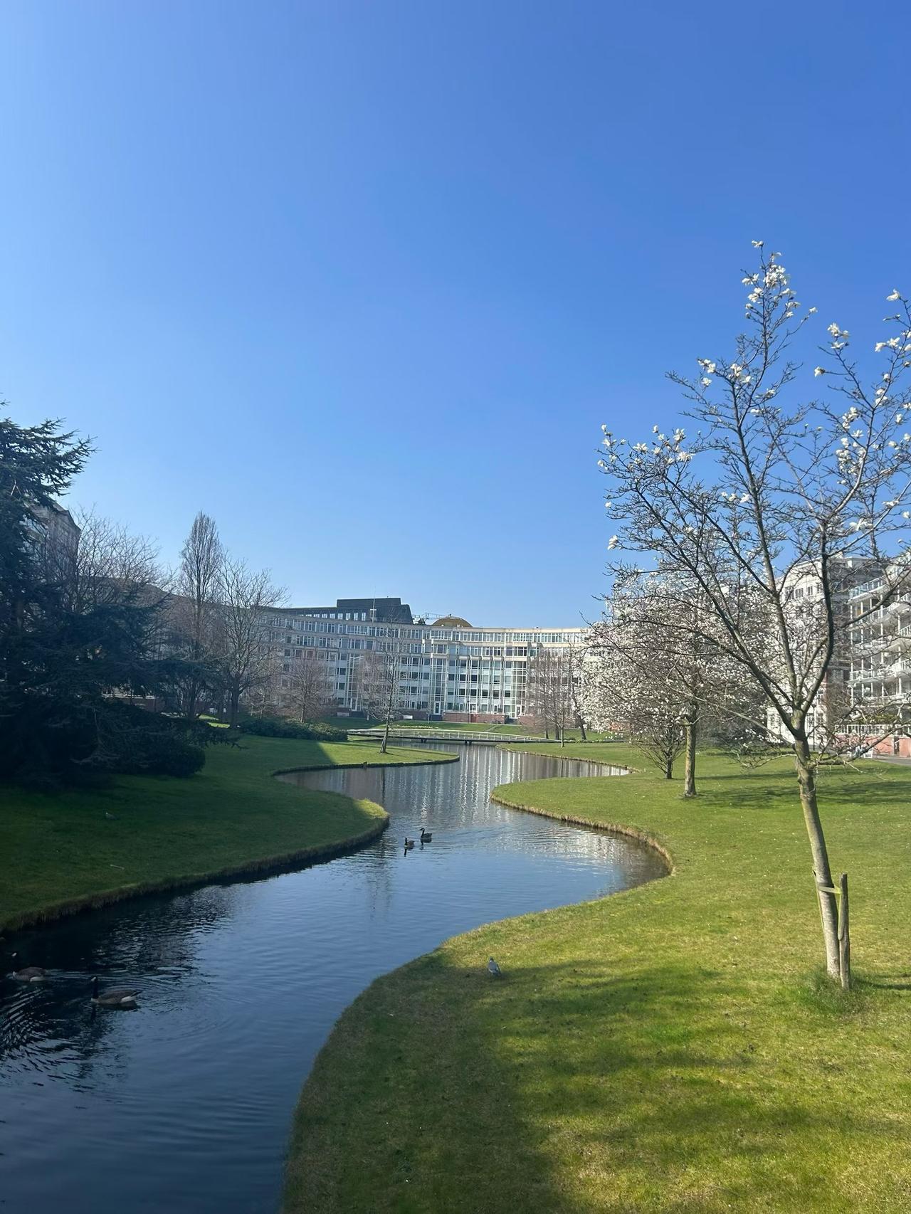 上午安排了两个工人给一个朋友家帮忙修院子里的水管，入冬的时候他家没关水，水管从墙