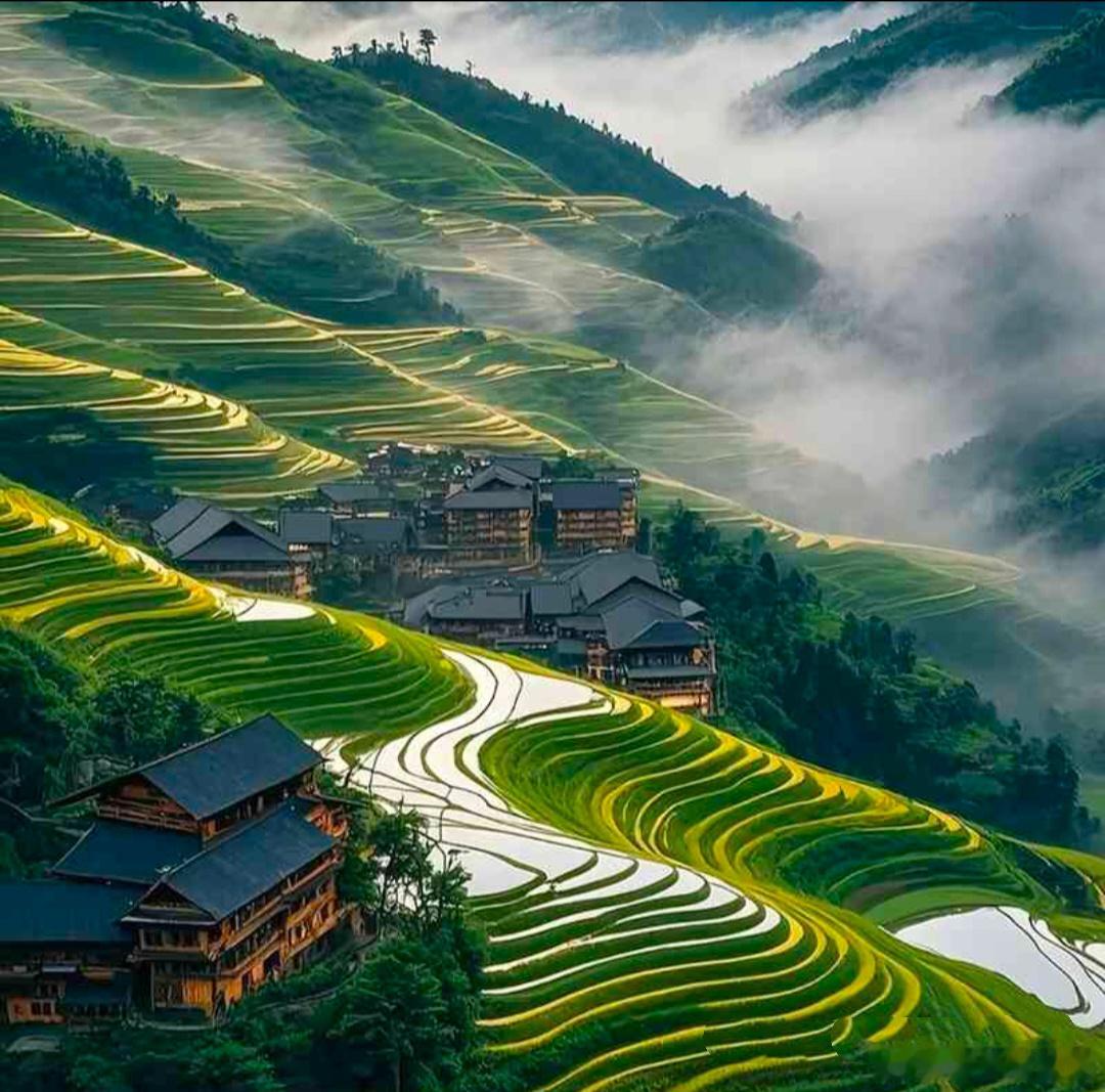 早安 北京