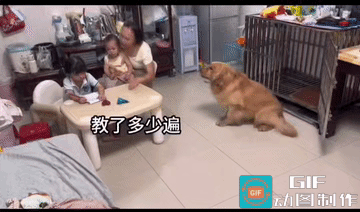 看了两遍，才知道女子为啥让狗子“闭嘴”了。
它算出来了，它是真的算出来了。
99