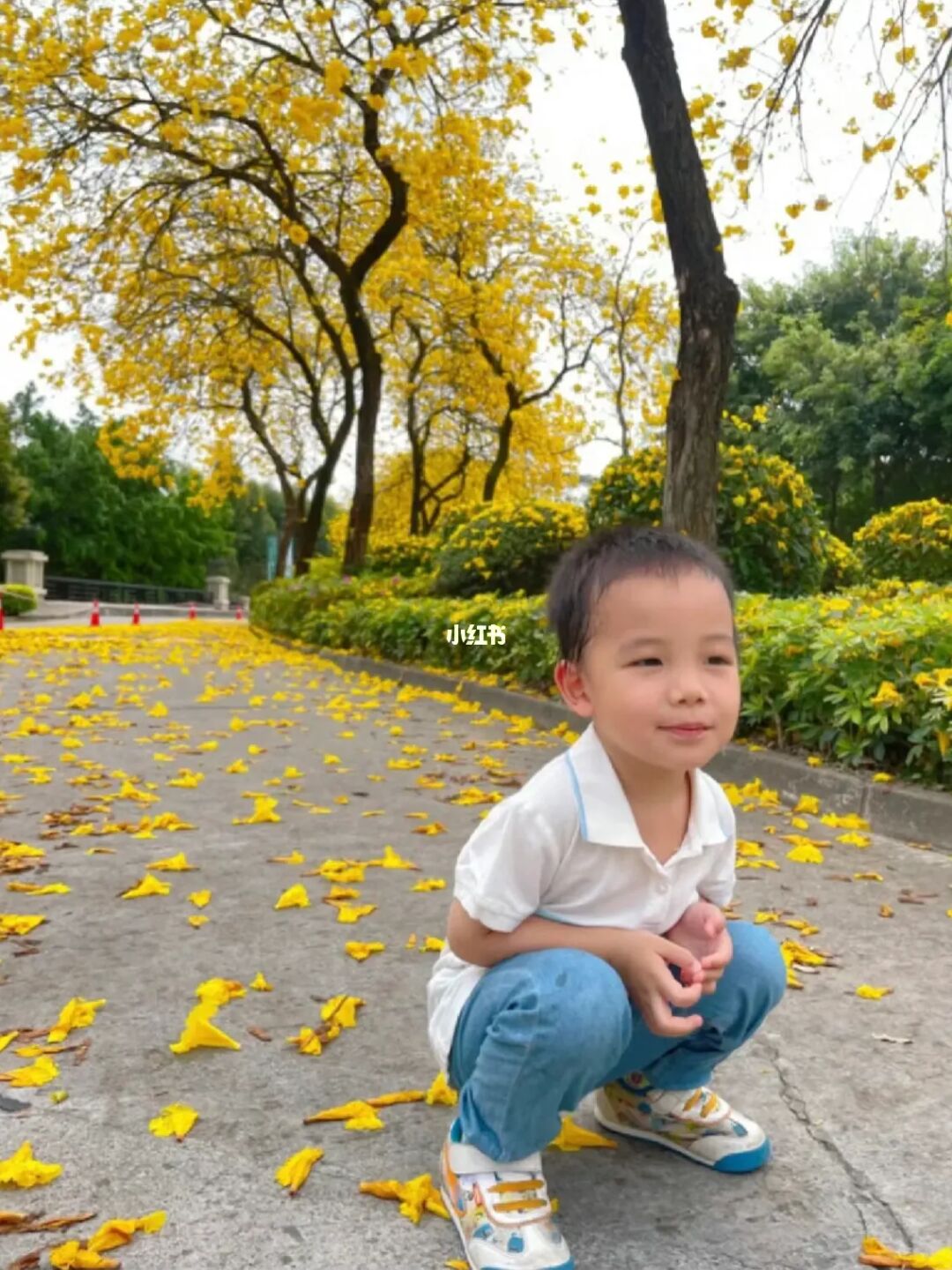 别再说“你真棒”，少表扬多鼓励‼️激发内驱力