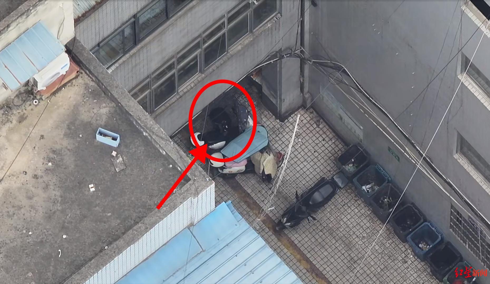 警用无人机“开天眼”！男子偷电瓶藏公园全过程被拍下，地面警力将其人赃并获
