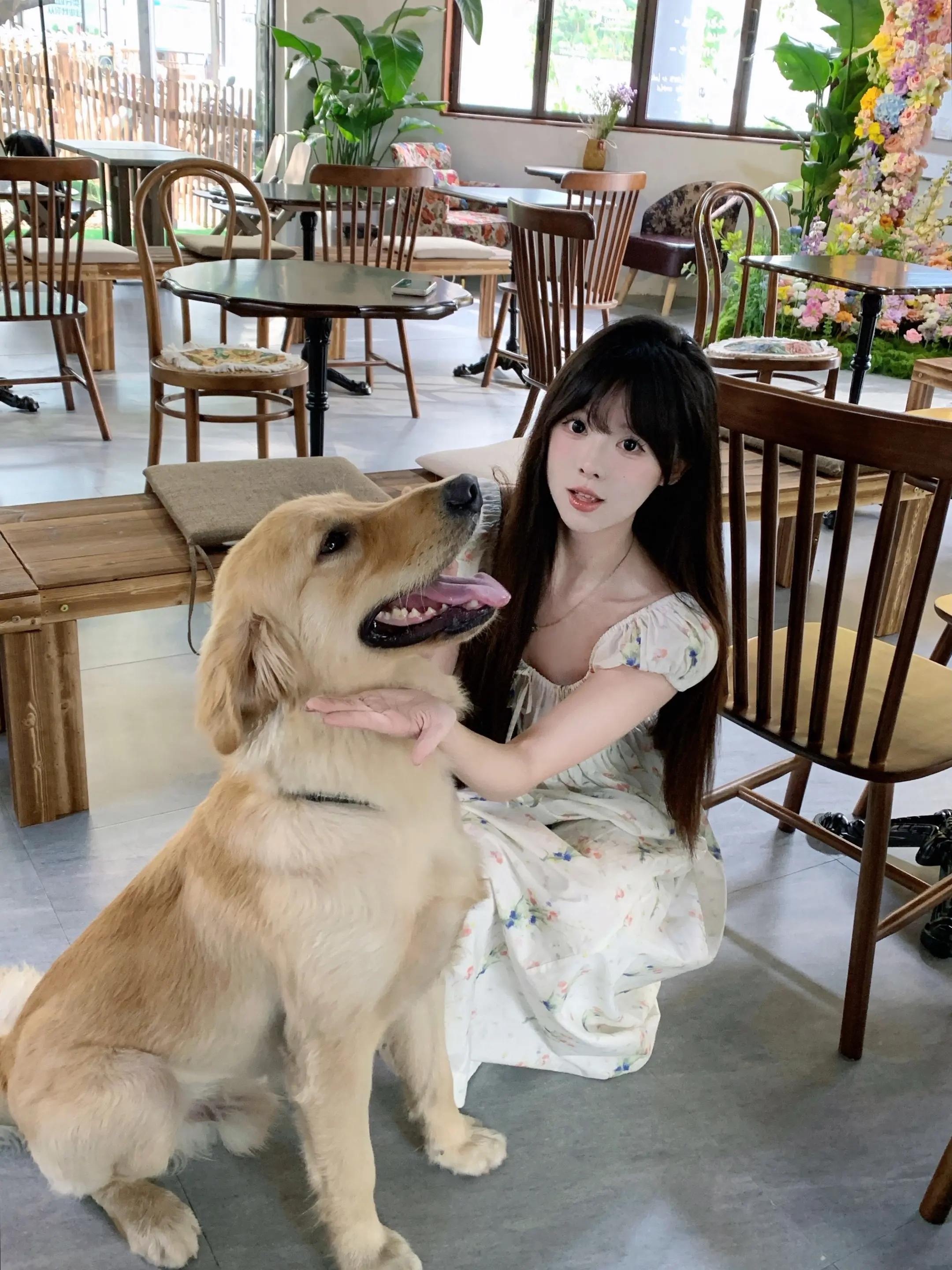 小狗就是天使
