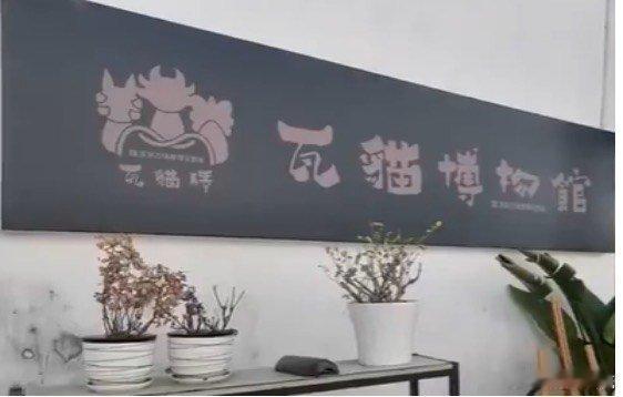 春风十里昆明有你凡人微光聚春城我就是滇风从收集多尊散落民间的瓦猫，到为它们建起一